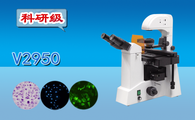 熒光顯微鏡的使用方法是什么？還不趕快收好這份使用手冊(cè)